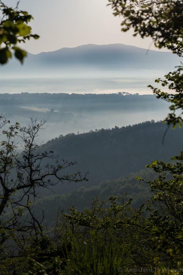 Podere Porcino Чивителла-Д'Альяно Экстерьер фото