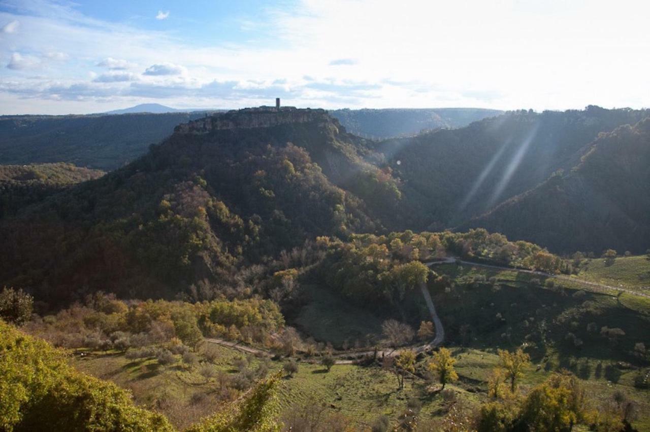 Podere Porcino Чивителла-Д'Альяно Экстерьер фото